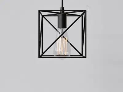 Light Bulb Cage  09 3D model