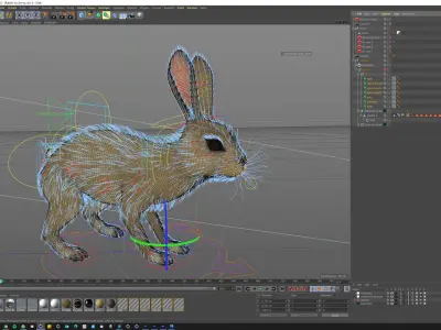 Young Rabbit  with hair 3D model
