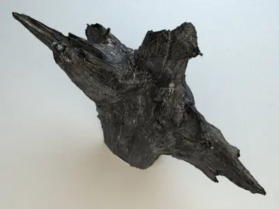 old burned wood trunk Low-poly 3D model