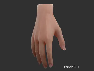  Realistic Female Hand - source file 