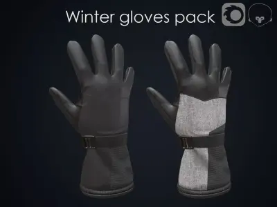 Winter gloves pack