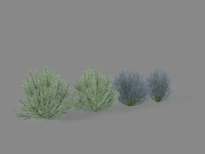 Shrub Rosmarinus 2 Low-poly 3D model