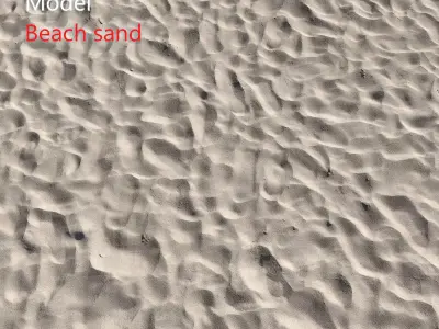 Beach sand Scan 3D model