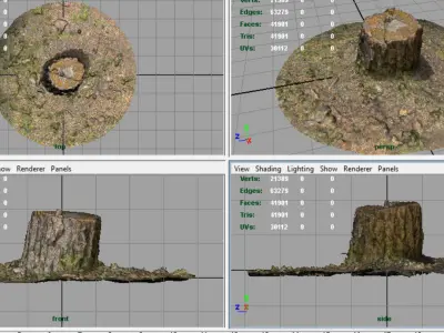 Tree Stump Low-poly 3D model