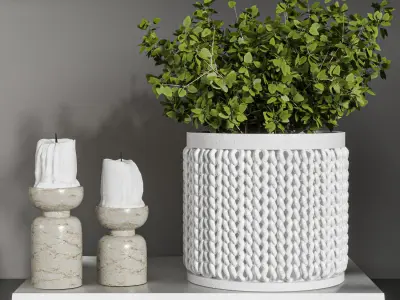 SET DECORTIVE 06 3D model