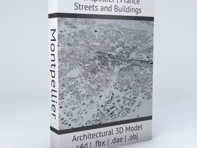 Montpellier Streets and Buildings 3D model