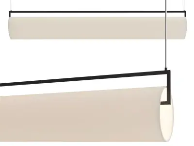 stunning pendant light  3D model