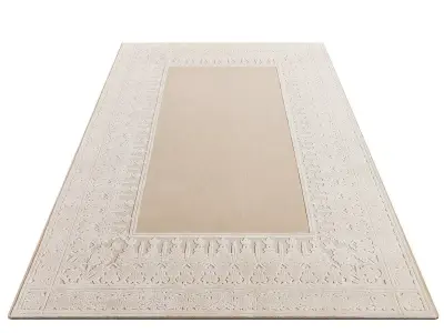 Amber Border rug by Signature 3D model