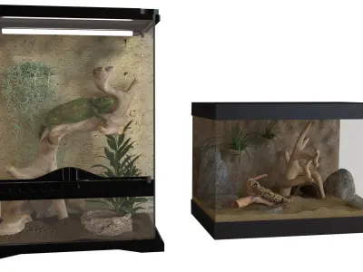 Reptiles terrarium Decoration  Low-poly 3D model