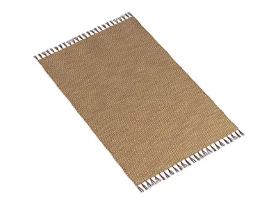 Willow Water Hyacinth Rug 180x120cm RendezVousDeco 3D model