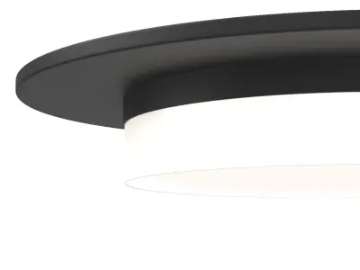 Sen 17 Flush Mount 3D model