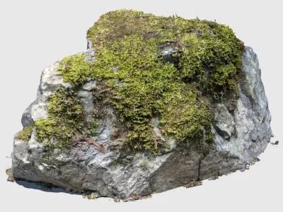 Sir Stirling Moss Rock 3D model