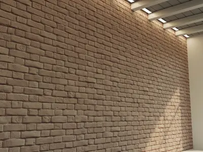 Brick wall  Old brick  17 Texture