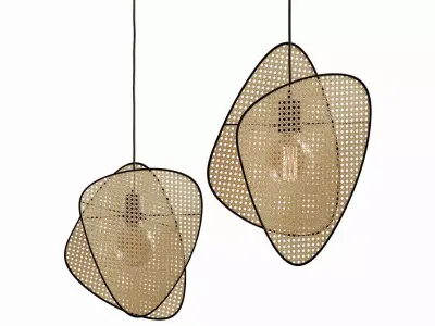 Pendant light cannage 3D model