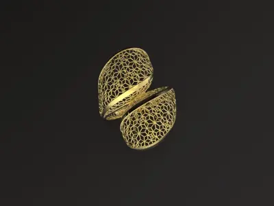 20 rings bueatiful light weight  3D print model