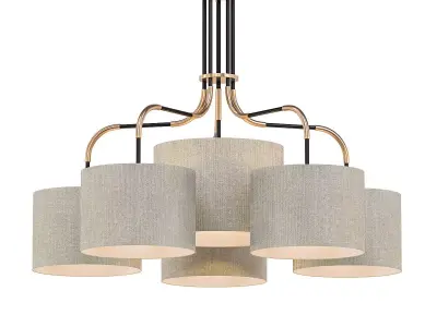 SL016 light chandelier in brass with shades 3D model