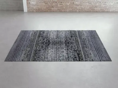 Circlism C07 Carpet 3D model