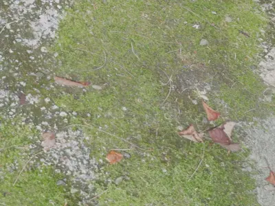 3 Surface of Stone Moss set  3D model