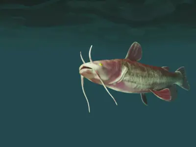 Catfish Low-poly 3D model
