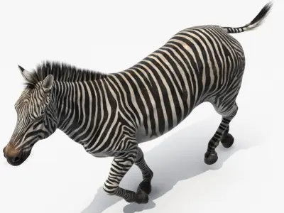  African Animals Collection 12 