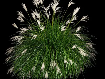 Ornamental Bushes For Landscape Design 1131 3D model