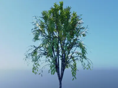Realistic Tree Free low-poly 3D model