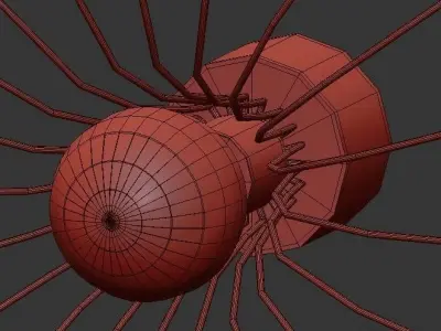 Spider Aromas 3D model