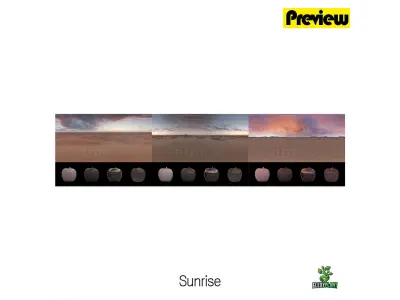 Realistic HDRI 19pcs 12k Desert Low-poly 3D model