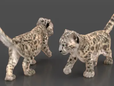  Snow Leopard Cub in Walking Pose Fur for Maya 