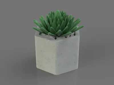 Succulent in a pot 3D model