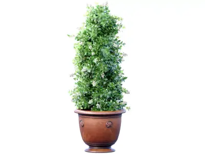 Decorative tall evergreen flowering garden tree bush classic pot 3D model