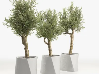 BILBAO BY JOSEP MUXART 3D model