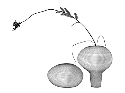 Two Vases and Flower 3D model