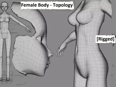 5x Human Body Topology Pack Low-poly 3D model