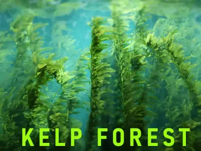 Procedural Kelp Forest Environment 3D model