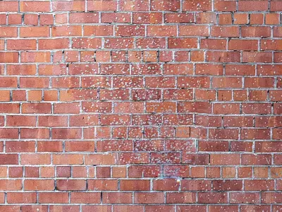 Brickwork 302 Texture