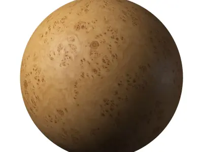 Birch Burl wood material 01 Texture