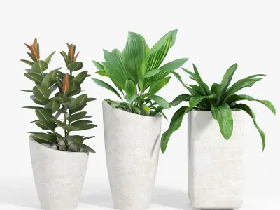 Set Crate and Barrel three 3D model