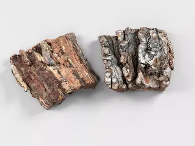 Tree Bark - 3D scan 3D model