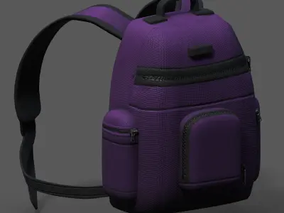 Backpack bag baggage Color 3d low poly Low-poly 3D model 3D model