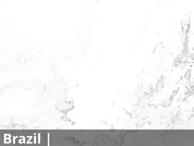 Brazil Occlusion Thickness Cavity Curvature 14k High res Maps Texture