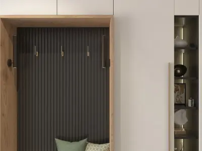 Entrance closet 3D model