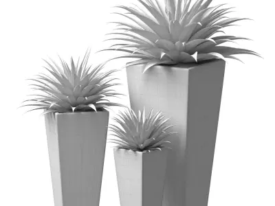 Decorative Outdoor Porch or Terrace Plant  Front Entrance Tree 3D model