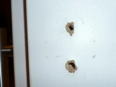 Broken-Out Screw-Hole Repair Thingy Free 3D print model