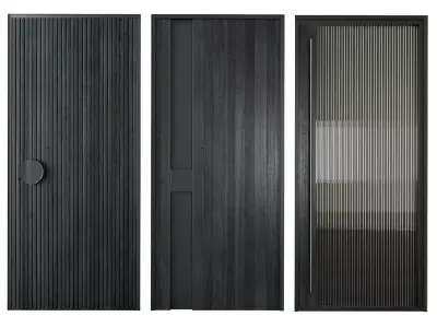 Modern black entrane door 3D model