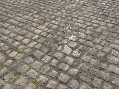 Cobblestone Road 11 PBR Texture
