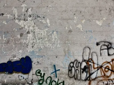 the rebellious duck Free 3D model