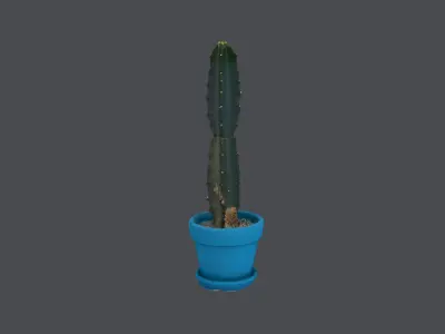 Potted cactus plant Low-poly 3D model