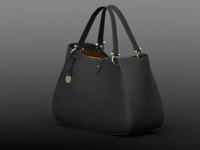 Alto Camilla Lady bag 3D model