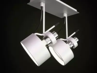 Lamp   Ceiling Mounted Light 3D model